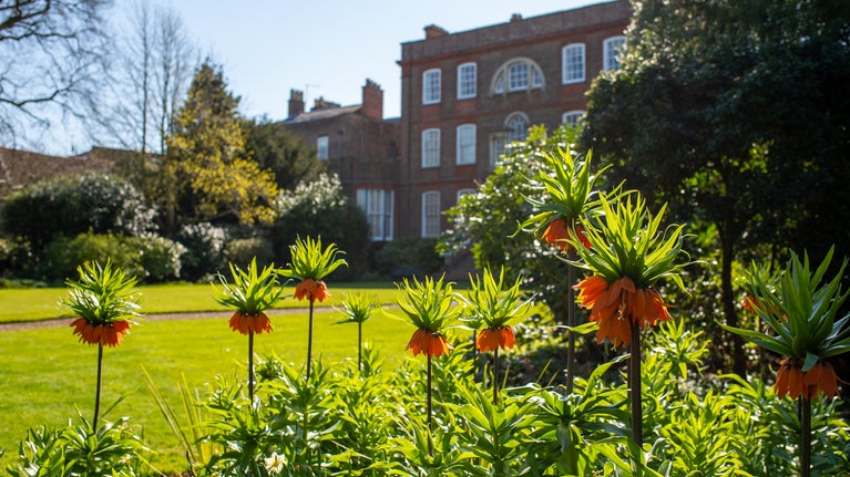The gardens at Peckover House in April